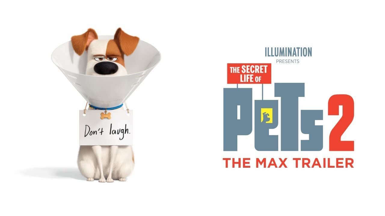 ‘Pets: A Vida Secreta dos Bichos 2’ – Assista ao novo trailer